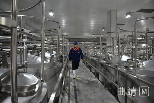 陸良2.8億投資項目順利進入試生產階段，區域經濟迎來發展新動能