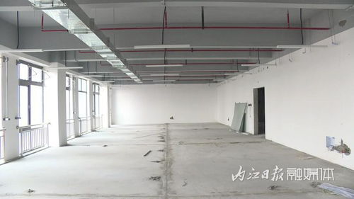 跑出“加速度”，內(nèi)江軟件與信息技術(shù)服務(wù)外包產(chǎn)業(yè)園一期項(xiàng)目建設(shè)進(jìn)度條已達(dá)95%